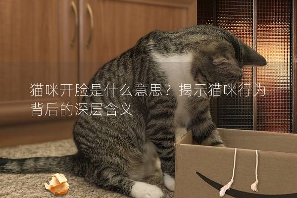 猫咪开脸是什么意思？揭示猫咪行为背后的深层含义