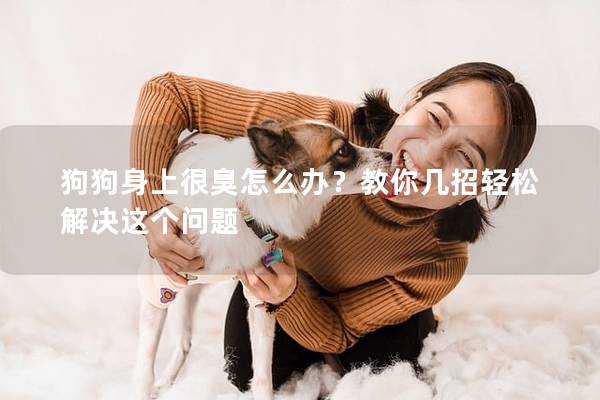 狗狗身上很臭怎么办？教你几招轻松解决这个问题