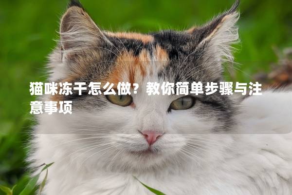 猫咪冻干怎么做？教你简单步骤与注意事项