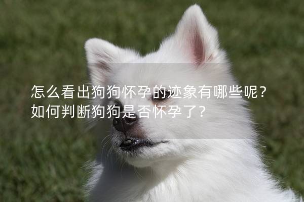 怎么看出狗狗怀孕的迹象有哪些呢？如何判断狗狗是否怀孕了？