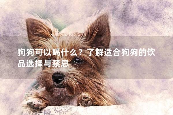 狗狗可以喝什么？了解适合狗狗的饮品选择与禁忌