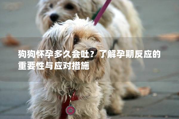 狗狗怀孕多久会吐？了解孕期反应的重要性与应对措施