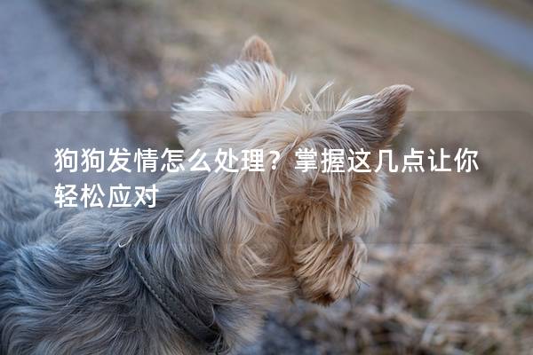 狗狗发情怎么处理？掌握这几点让你轻松应对