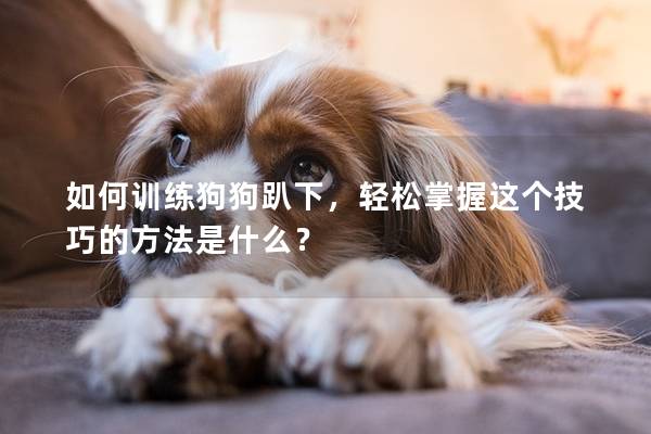 如何训练狗狗趴下，轻松掌握这个技巧的方法是什么？