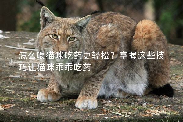 怎么喂猫咪吃药更轻松？掌握这些技巧让猫咪乖乖吃药