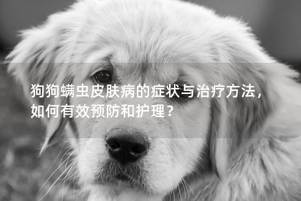 狗狗螨虫皮肤病的症状与治疗方法，如何有效预防和护理？