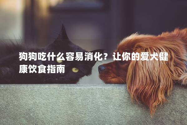 狗狗吃什么容易消化？让你的爱犬健康饮食指南