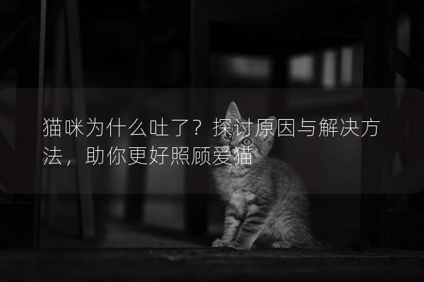 猫咪为什么吐了？探讨原因与解决方法，助你更好照顾爱猫