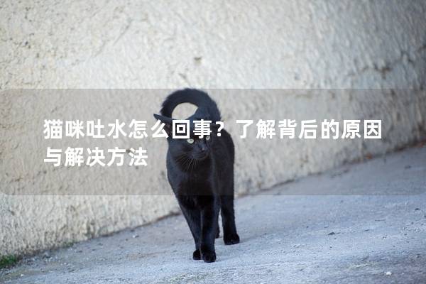 猫咪吐水怎么回事？了解背后的原因与解决方法