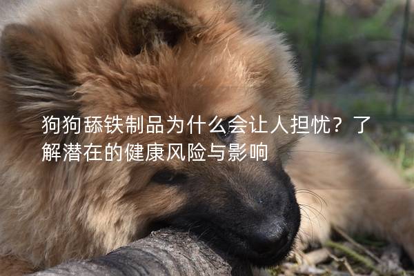 狗狗舔铁制品为什么会让人担忧?了解潜在的健康风险与影响