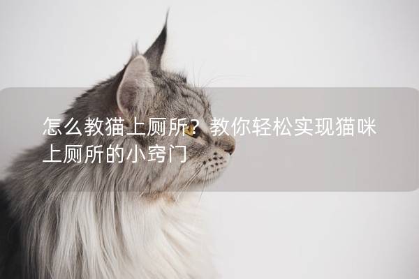 怎么教猫上厕所？教你轻松实现猫咪上厕所的小窍门