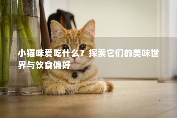 小猫咪爱吃什么？探索它们的美味世界与饮食偏好