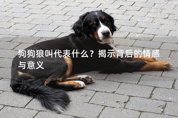 狗狗狼叫代表什么？揭示背后的情感与意义