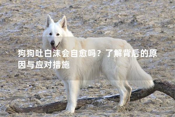 狗狗吐白沫会自愈吗？了解背后的原因与应对措施