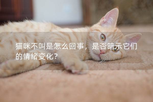 猫咪不叫是怎么回事，是否暗示它们的情绪变化？