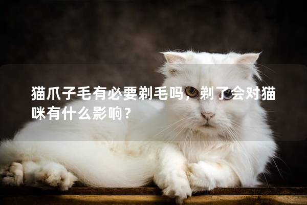 猫爪子毛有必要剃毛吗，剃了会对猫咪有什么影响？