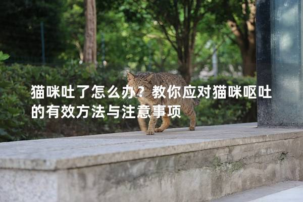 猫咪吐了怎么办?教你应对猫咪呕吐的有效方法与注意事项