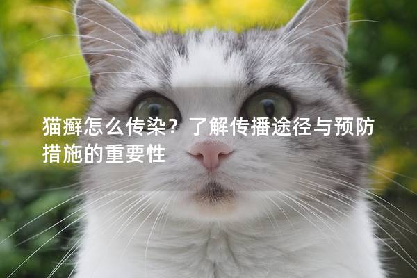 猫癣怎么传染？了解传播途径与预防措施的重要性