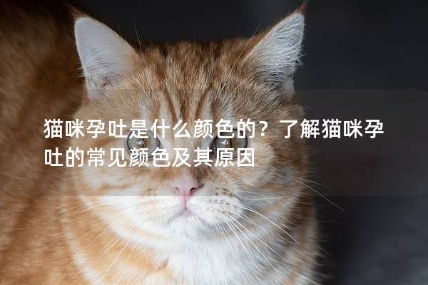 猫咪孕吐是什么颜色的？了解猫咪孕吐的常见颜色及其原因