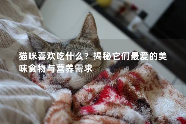 猫咪喜欢吃什么？揭秘它们最爱的美味食物与营养需求