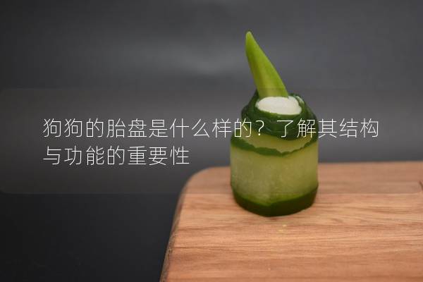 狗狗的胎盘是什么样的？了解其结构与功能的重要性