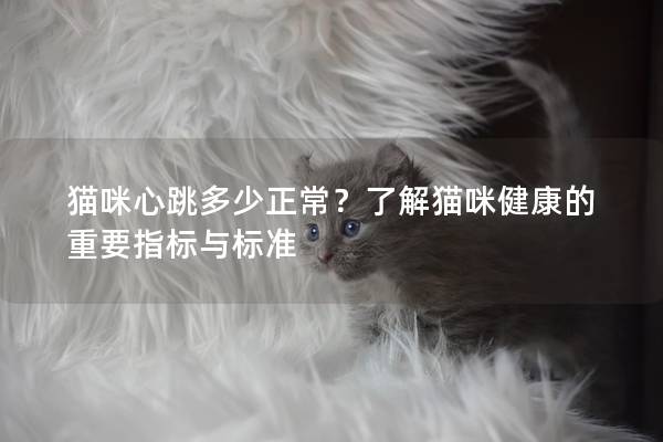 猫咪心跳多少正常？了解猫咪健康的重要指标与标准