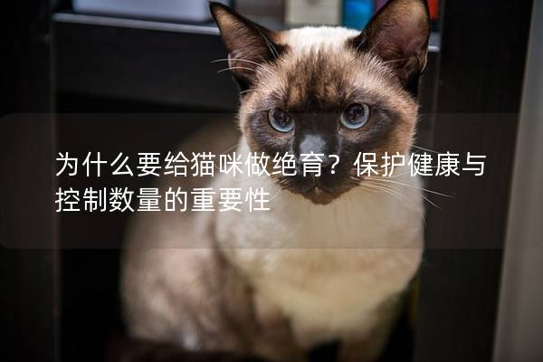 为什么要给猫咪做绝育？保护健康与控制数量的重要性