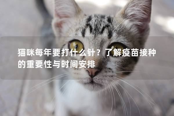 猫咪每年要打什么针？了解疫苗接种的重要性与时间安排