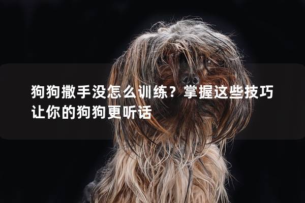 狗狗撒手没怎么训练？掌握这些技巧让你的狗狗更听话