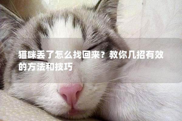 猫咪丢了怎么找回来？教你几招有效的方法和技巧