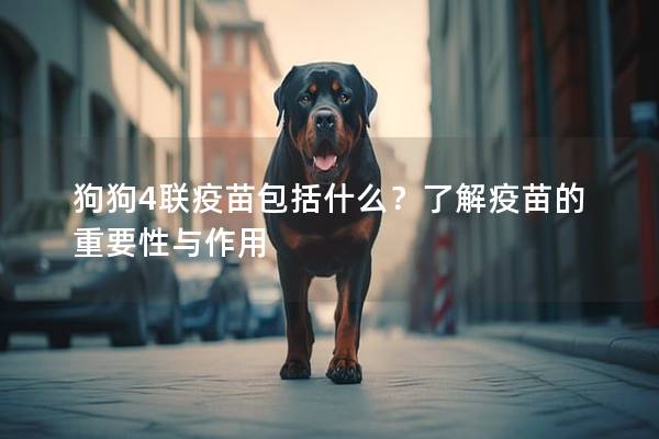 狗狗4联疫苗包括什么？了解疫苗的重要性与作用