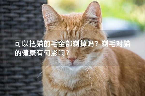 可以把猫的毛全部剃掉吗？剃毛对猫的健康有何影响？