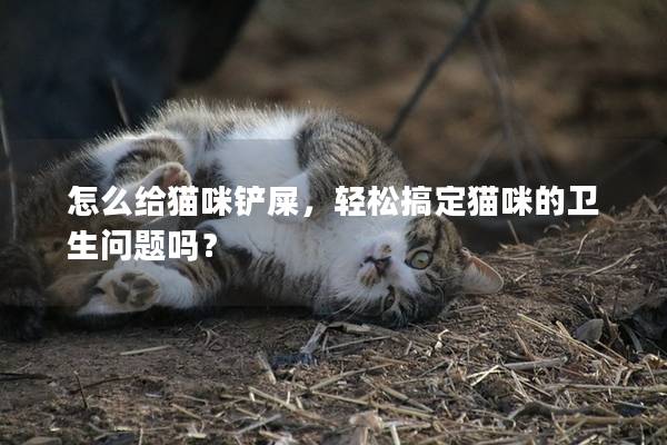 怎么给猫咪铲屎，轻松搞定猫咪的卫生问题吗？