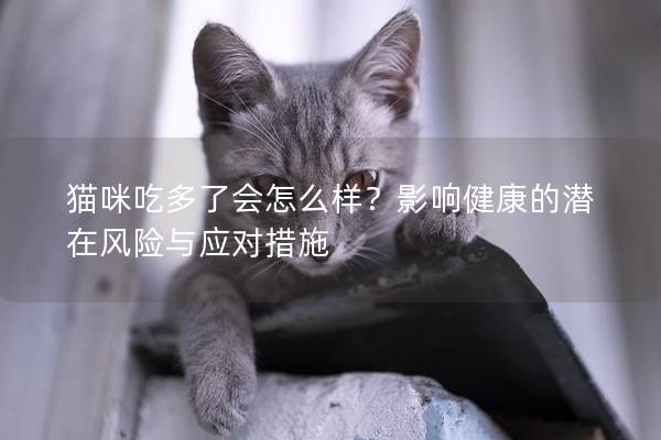 猫咪吃多了会怎么样？影响健康的潜在风险与应对措施