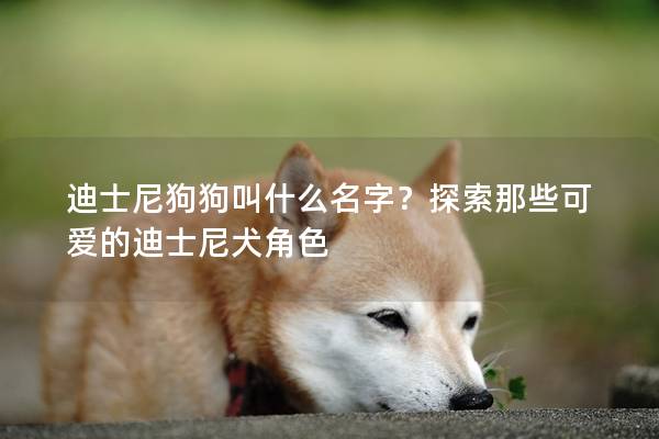 迪士尼狗狗叫什么名字？探索那些可爱的迪士尼犬角色