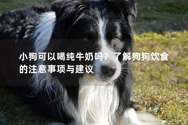 小狗可以喝纯牛奶吗？了解狗狗饮食的注意事项与建议