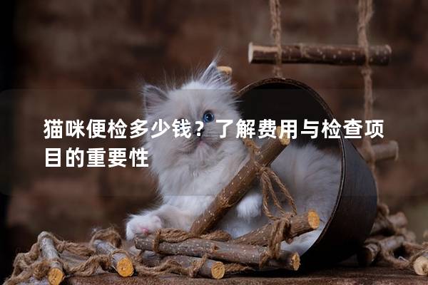 猫咪便检多少钱？了解费用与检查项目的重要性