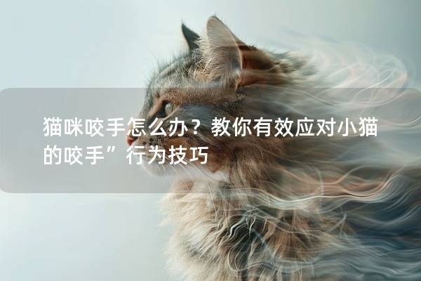 猫咪咬手怎么办？教你有效应对小猫的咬手”行为技巧