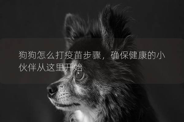 狗狗怎么打疫苗步骤，确保健康的小伙伴从这里开始