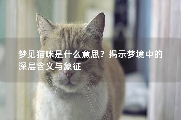 梦见猫咪是什么意思？揭示梦境中的深层含义与象征