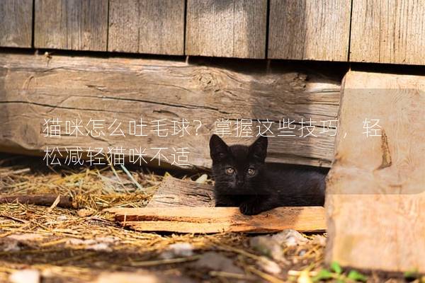 猫咪怎么吐毛球？掌握这些技巧，轻松减轻猫咪不适