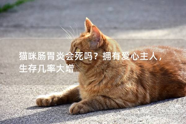 猫咪肠胃炎会死吗？拥有爱心主人，生存几率大增