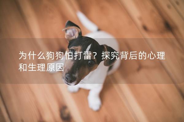 为什么狗狗怕打雷？探究背后的心理和生理原因