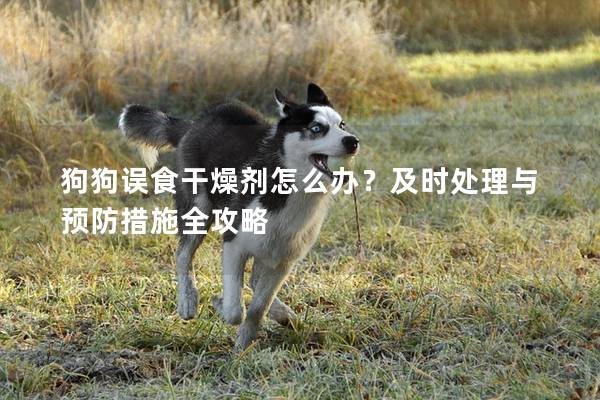 狗狗误食干燥剂怎么办？及时处理与预防措施全攻略