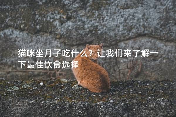 猫咪坐月子吃什么？让我们来了解一下最佳饮食选择