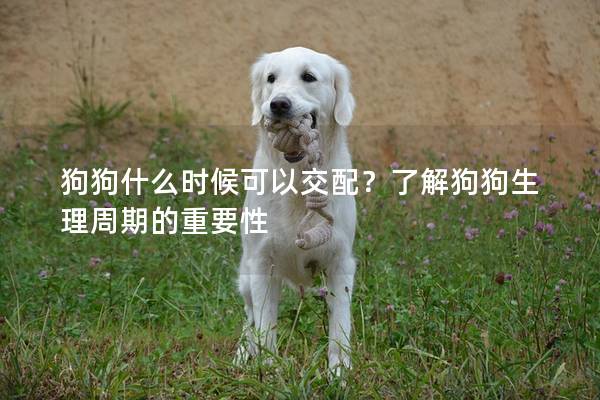 狗狗什么时候可以交配？了解狗狗生理周期的重要性