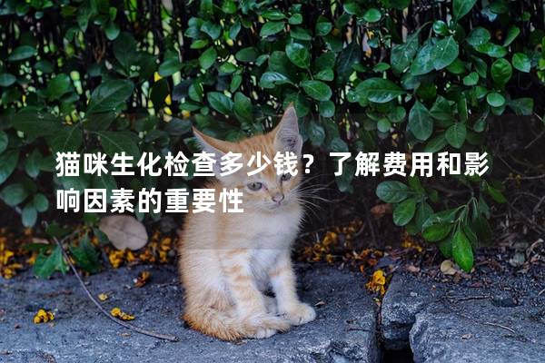 猫咪生化检查多少钱？了解费用和影响因素的重要性