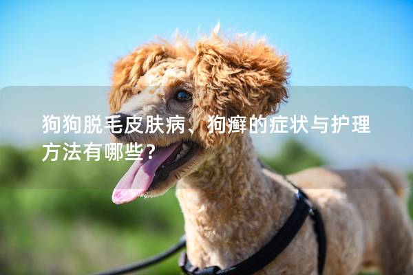 狗狗脱毛皮肤病、狗癣的症状与护理方法有哪些？