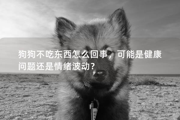 狗狗不吃东西怎么回事，可能是健康问题还是情绪波动？