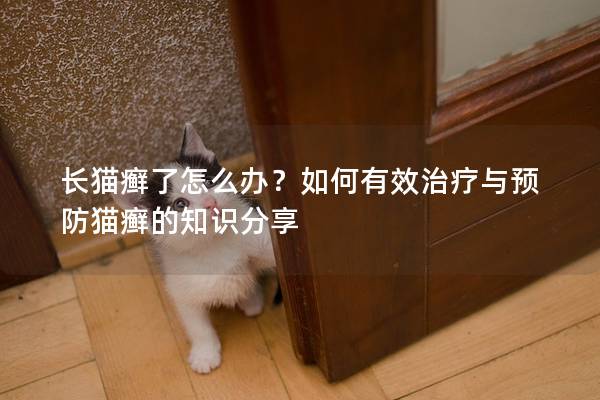 长猫癣了怎么办？如何有效治疗与预防猫癣的知识分享